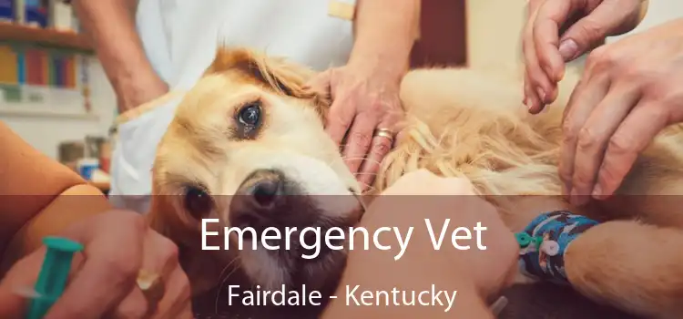 Emergency Vet Fairdale - Kentucky