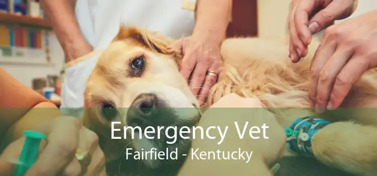 Emergency Vet Fairfield - Kentucky
