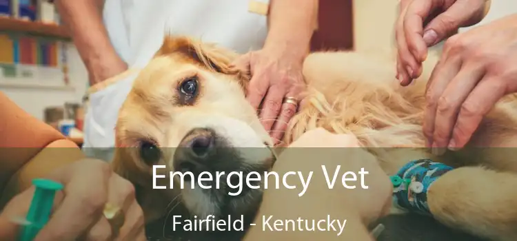 Emergency Vet Fairfield - Kentucky