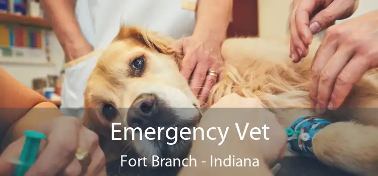 Emergency Vet Fort Branch - Indiana