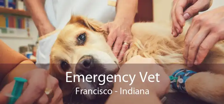 Emergency Vet Francisco - Indiana