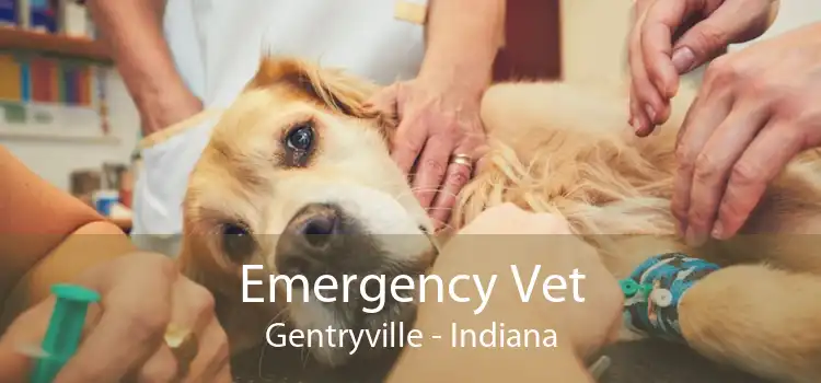 Emergency Vet Gentryville - Indiana