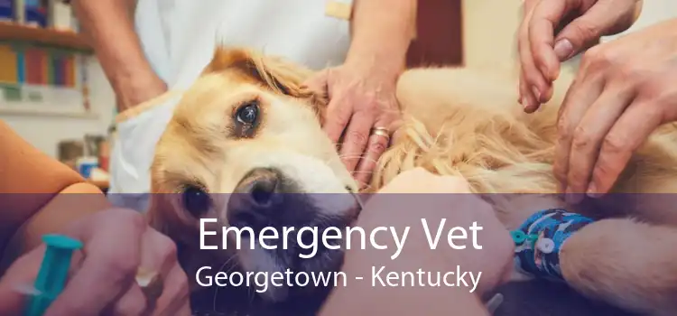 Emergency Vet Georgetown - Kentucky