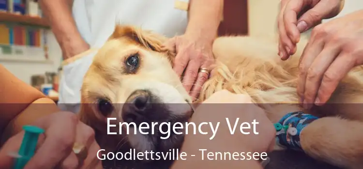 Emergency Vet Goodlettsville - Tennessee