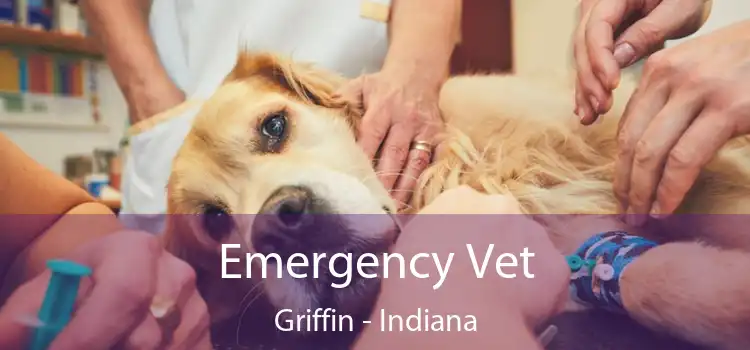 Emergency Vet Griffin - Indiana