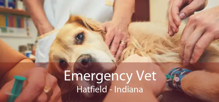 Emergency Vet Hatfield - Indiana