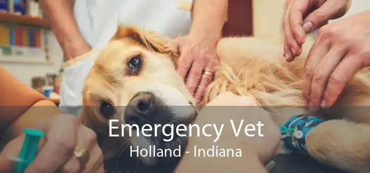 Emergency Vet Holland - Indiana