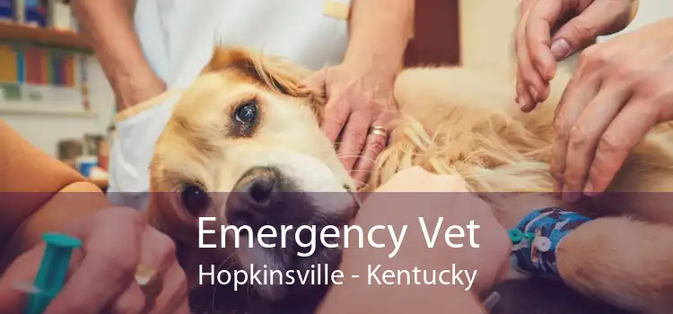 Emergency Vet Hopkinsville - Kentucky