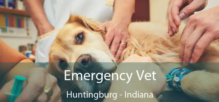 Emergency Vet Huntingburg - Indiana