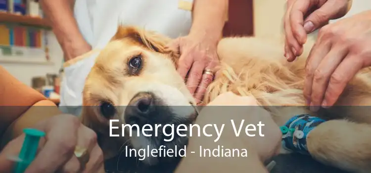 Emergency Vet Inglefield - Indiana