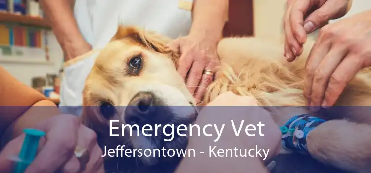 Emergency Vet Jeffersontown - Kentucky