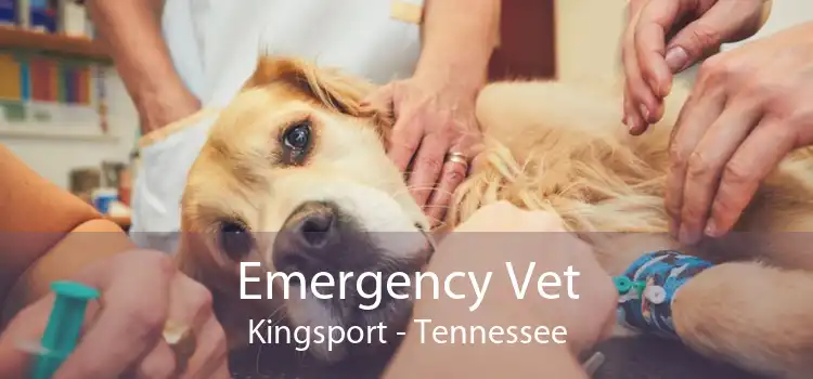 Emergency Vet Kingsport - Tennessee