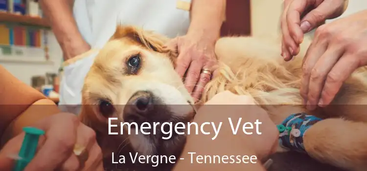 Emergency Vet La Vergne - Tennessee
