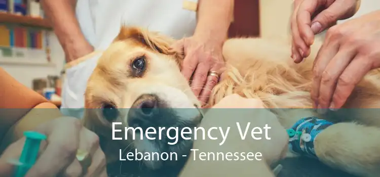 Emergency Vet Lebanon - Tennessee