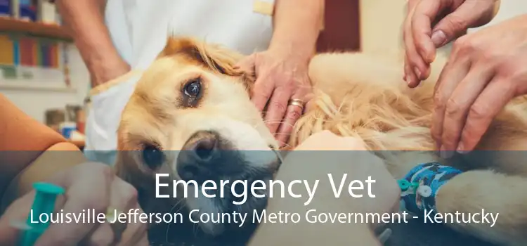 Emergency Vet Louisville Jefferson County Metro Government - Kentucky