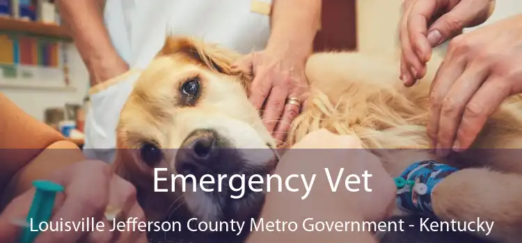 Emergency Vet Louisville Jefferson County Metro Government - Kentucky