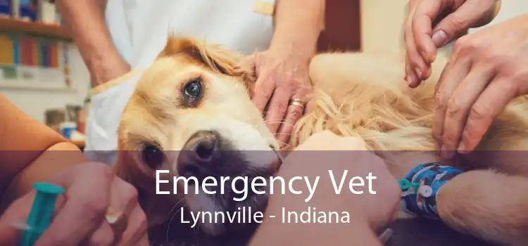 Emergency Vet Lynnville - Indiana