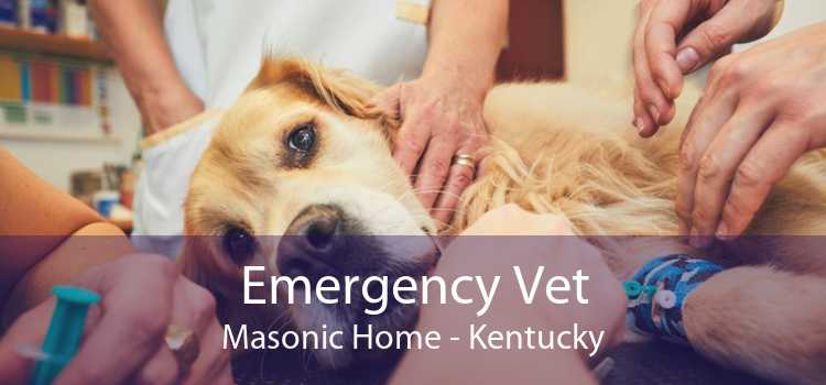 Emergency Vet Masonic Home - Kentucky