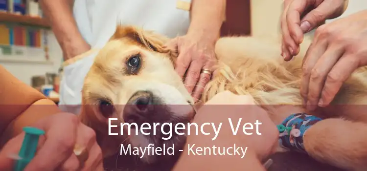 Emergency Vet Mayfield - Kentucky