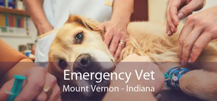 Emergency Vet Mount Vernon - Indiana