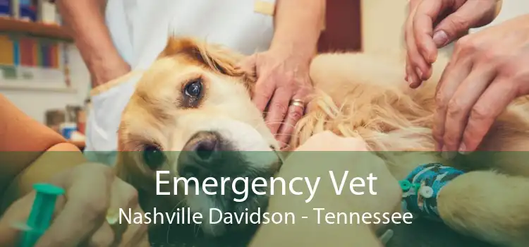 Emergency Vet Nashville Davidson - Tennessee