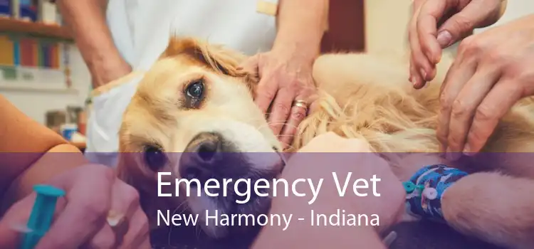 Emergency Vet New Harmony - Indiana