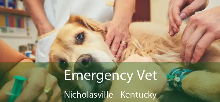 Emergency Vet Nicholasville - Kentucky
