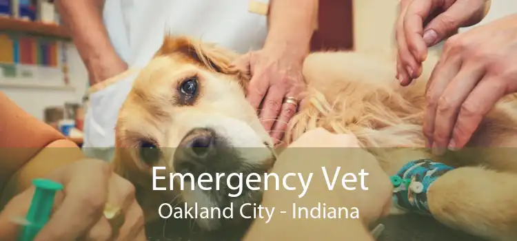 Emergency Vet Oakland City - Indiana