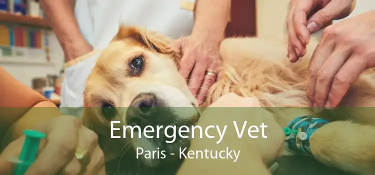 Emergency Vet Paris - Kentucky