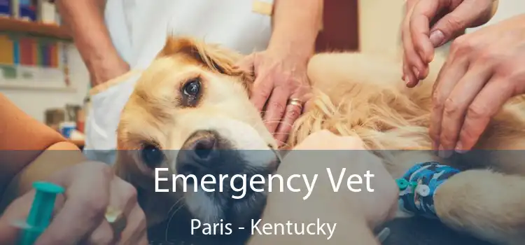 Emergency Vet Paris - Kentucky