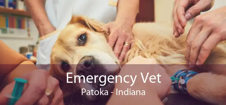 Emergency Vet Patoka - Indiana