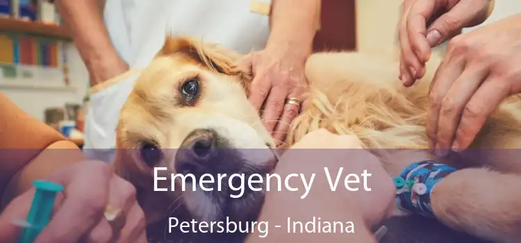 Emergency Vet Petersburg - Indiana