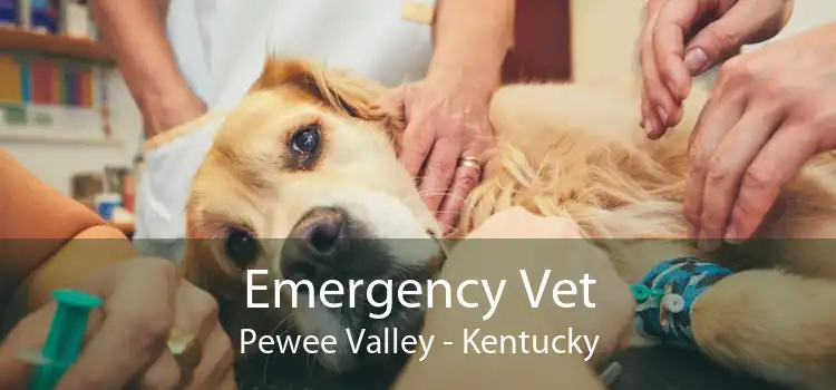 Emergency Vet Pewee Valley - Kentucky