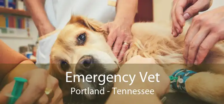 Emergency Vet Portland - Tennessee