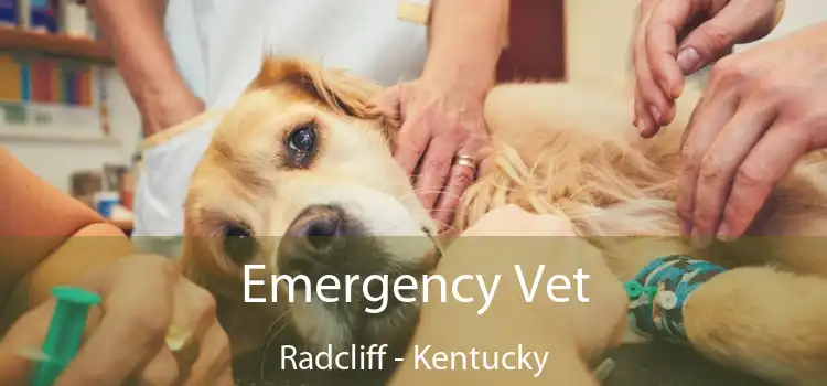 Emergency Vet Radcliff - Kentucky