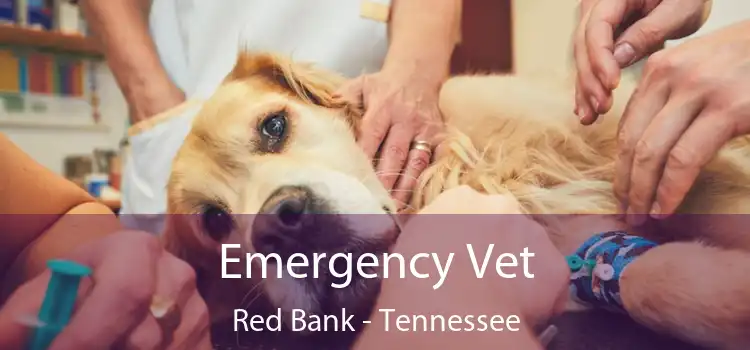Emergency Vet Red Bank - Tennessee