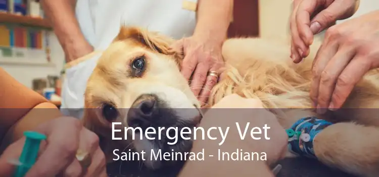 Emergency Vet Saint Meinrad - Indiana