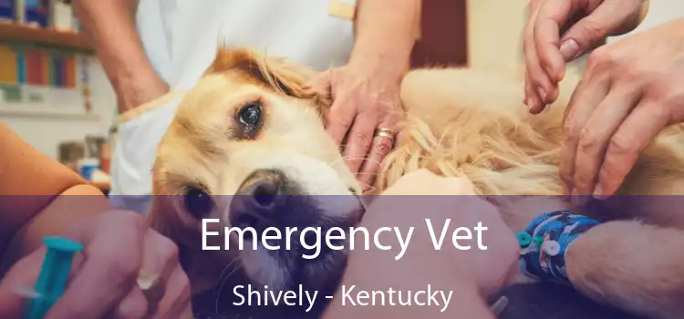 Emergency Vet Shively - Kentucky