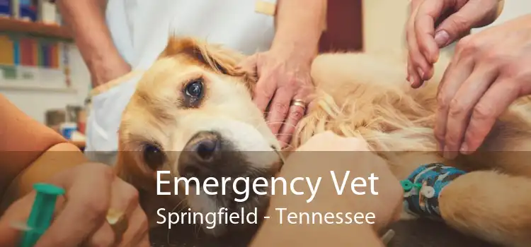 Emergency Vet Springfield - Tennessee