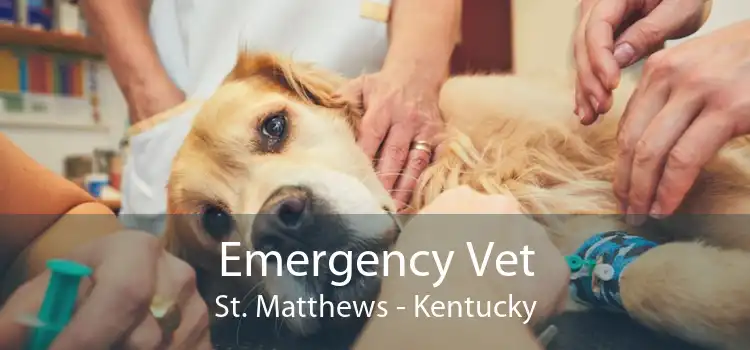 Emergency Vet St. Matthews - Kentucky