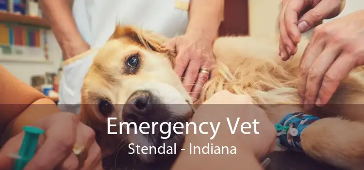 Emergency Vet Stendal - Indiana
