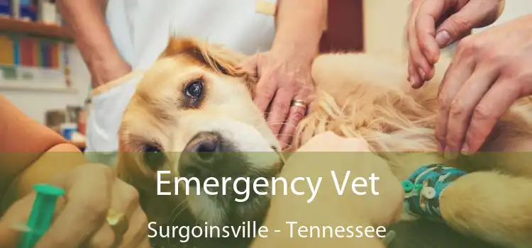 Emergency Vet Surgoinsville - Tennessee