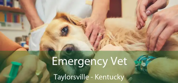 Emergency Vet Taylorsville - Kentucky
