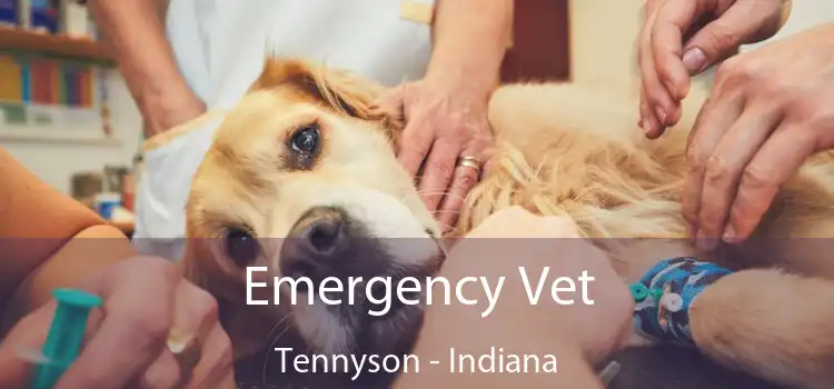 Emergency Vet Tennyson - Indiana