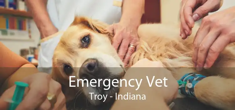 Emergency Vet Troy - Indiana