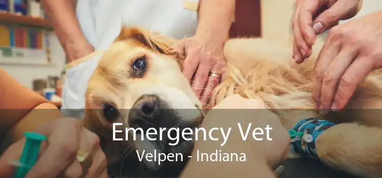 Emergency Vet Velpen - Indiana