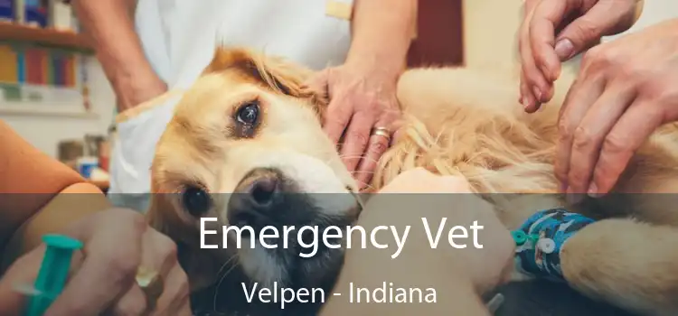 Emergency Vet Velpen - Indiana