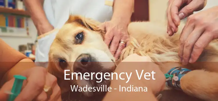 Emergency Vet Wadesville - Indiana