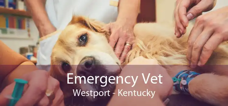 Emergency Vet Westport - Kentucky