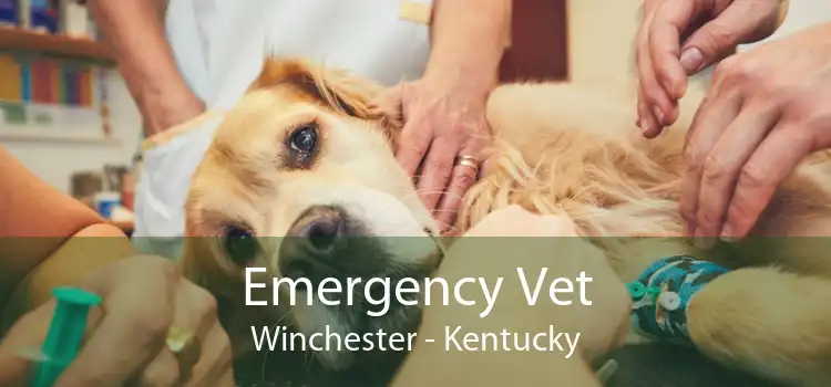 Emergency Vet Winchester - Kentucky